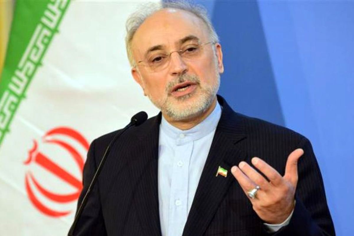 صالحی در راهپیمایی ۲۲ بهمن در تهران حضور پیدا کرد
