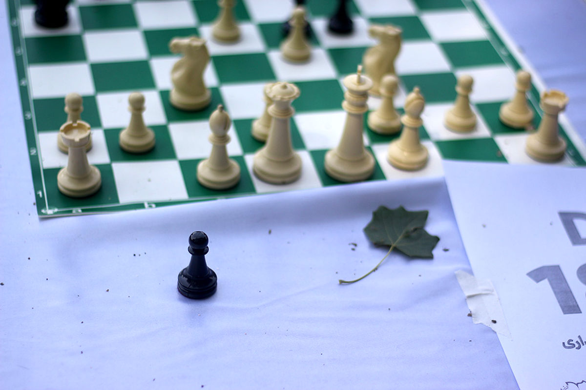 مسابقات شطرنج پارکی برگزار شد