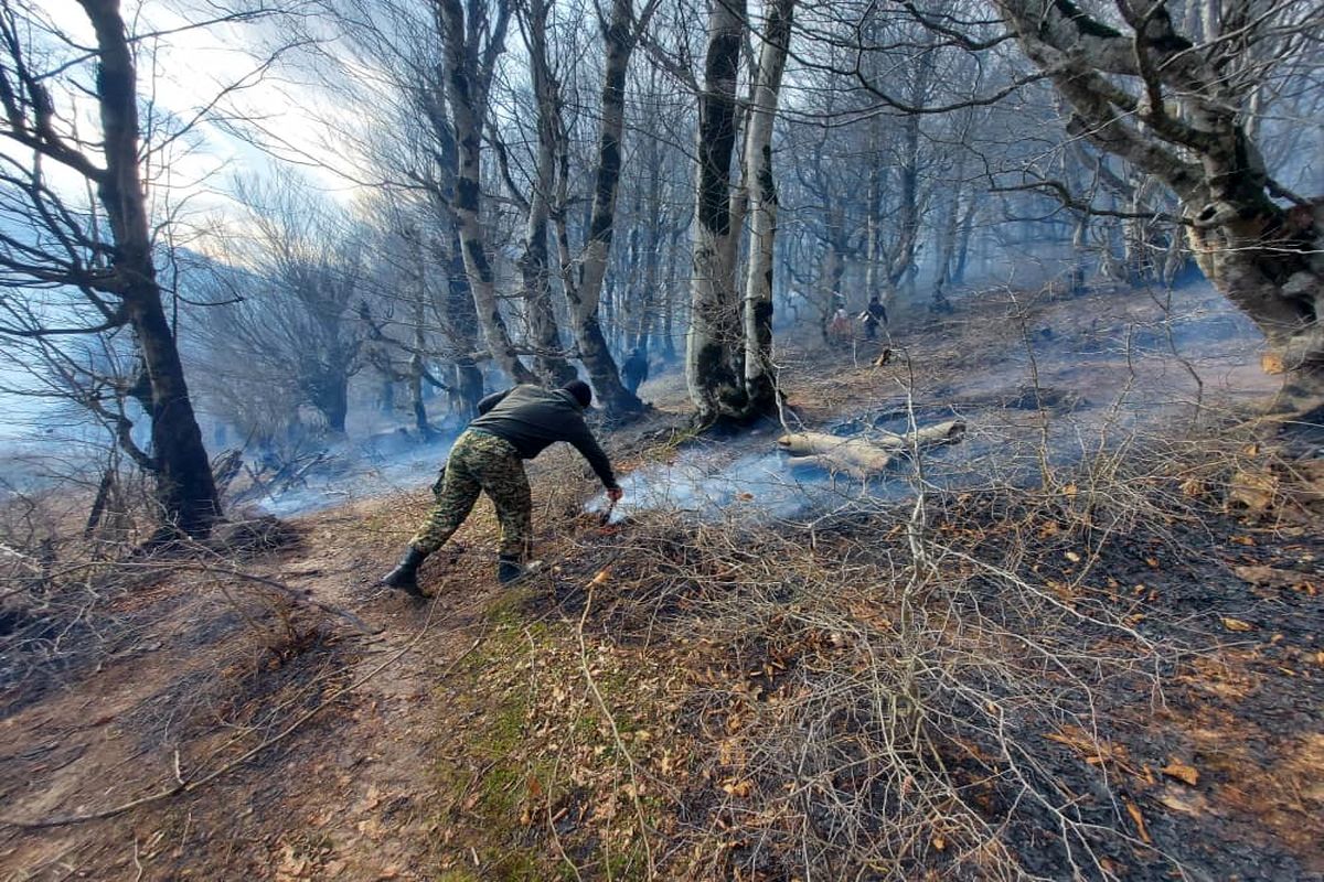 مهار آتش سوزی در جنگلهای ۹ شهرستان گیلان