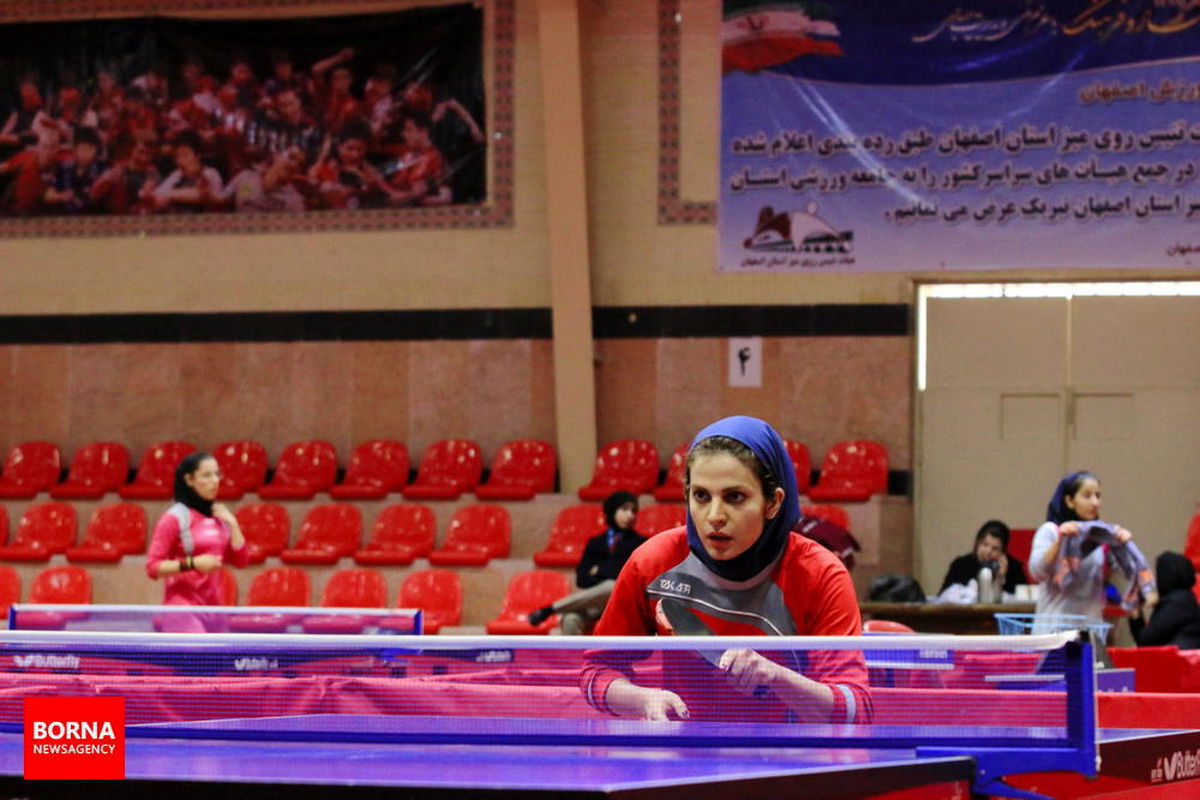 سهمیه از دست ایران رفت