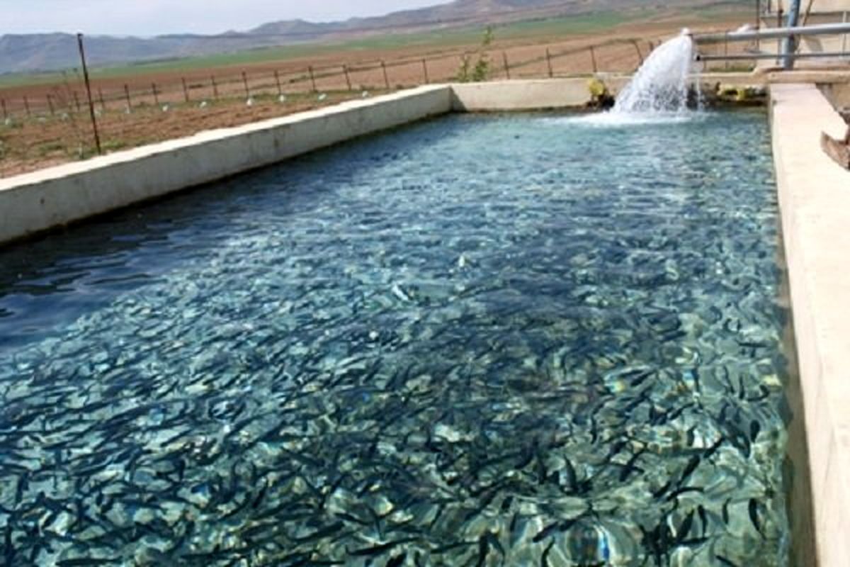 ساخت فاز دوم مجتمع پرورش ماهی ۱۵۰۰ تنی سیروان از طرح‌های اولویت‌دار کردستان است
