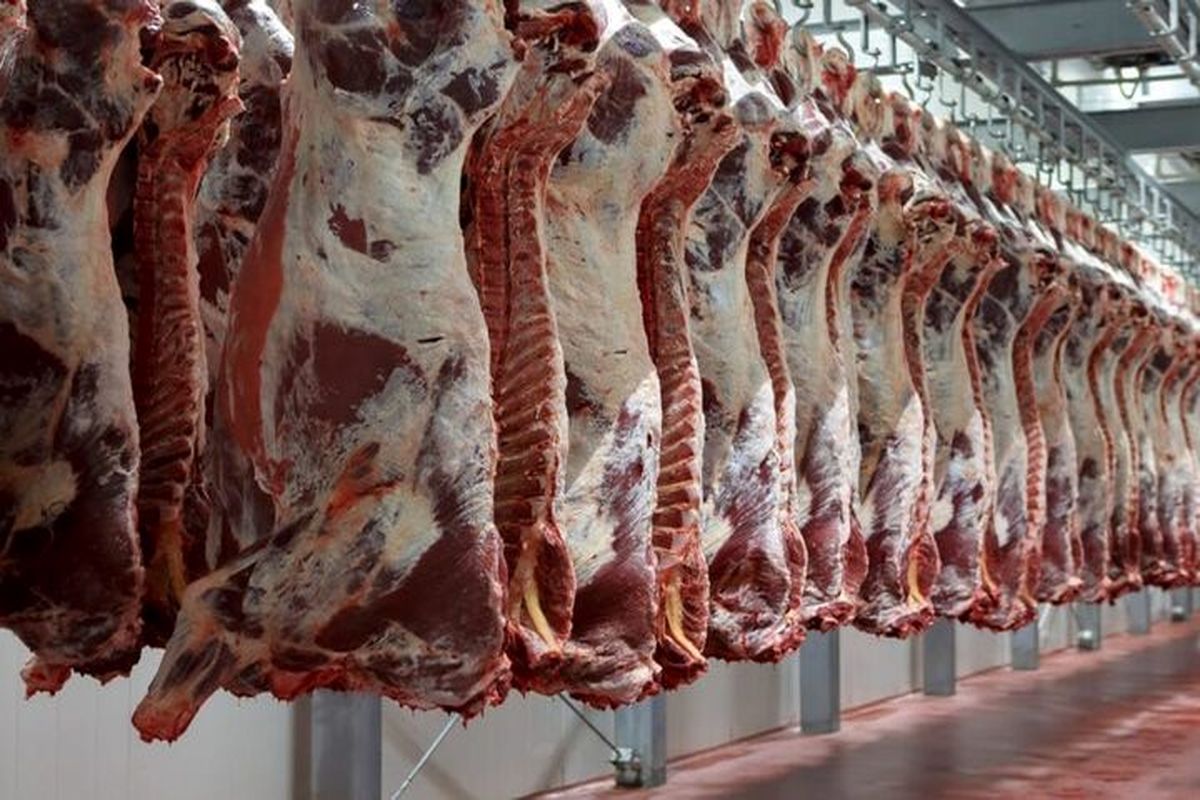 گوشت ارزان کنیایی به ایران می آید