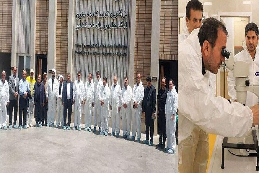 إيران على طريق توطين تقنية إنتاج الأجنة الحيوانية إيران على طريق توطين تقنية إنتاج الأجنة الحيوانية