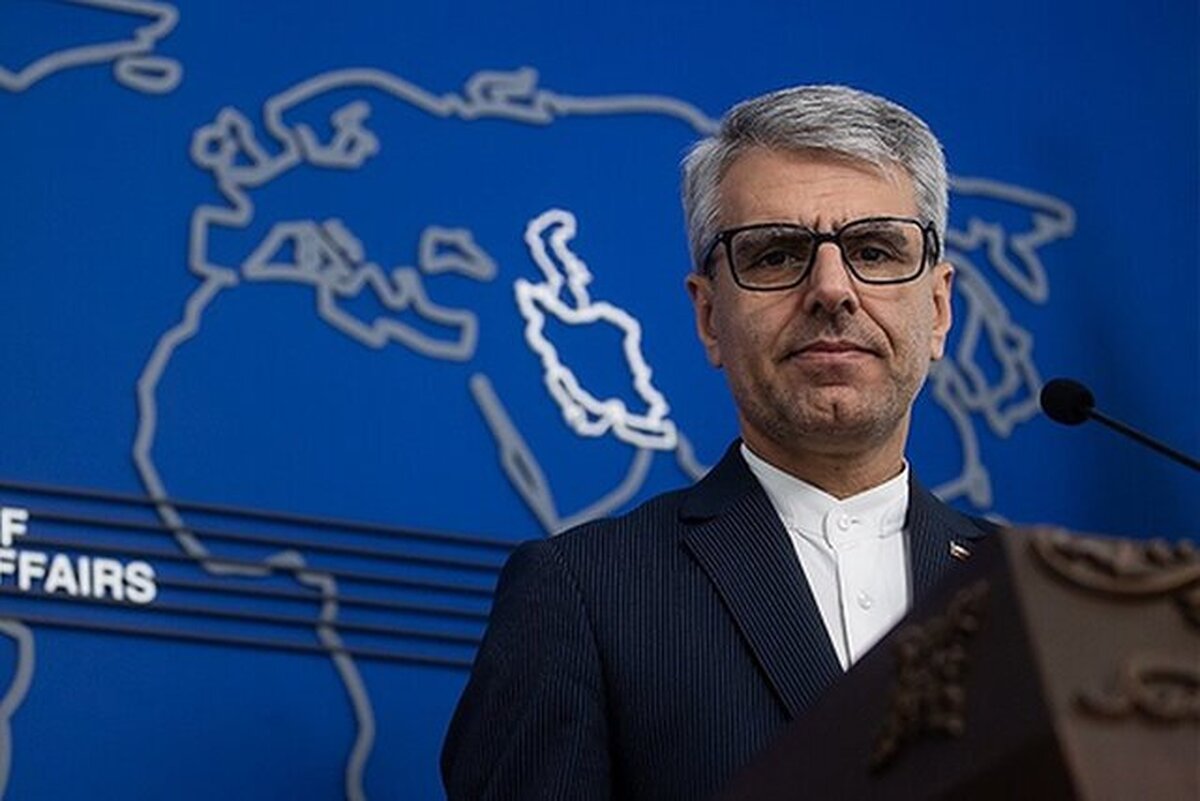 Iran hails Irish MEP for condemning Israeli crimes in region