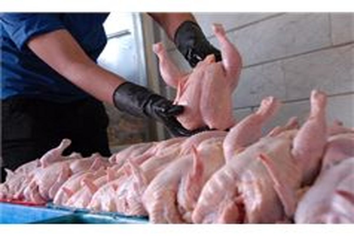 سالیانه۶۲هزارتن گوشت مرغ در آذریایجان غربی تولید می‌شود