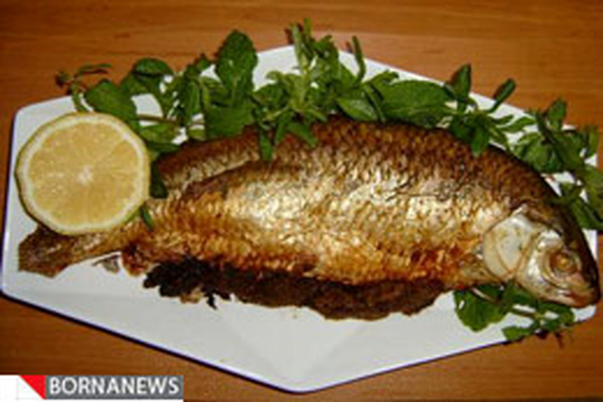 ماهی مواد مغذی مفید و ضروری برای انسان را داراست