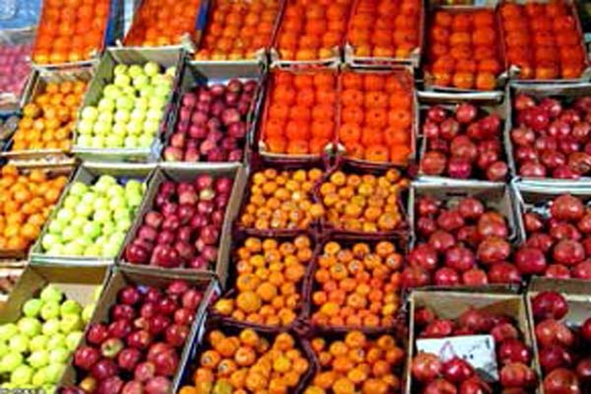 توزیع ۶۵۰ تن سیب و پرتغال در مناطق مختلف استان