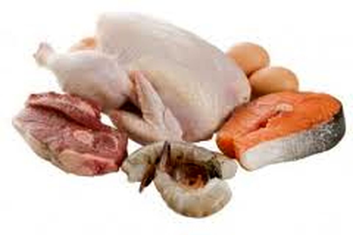 ۲۴ هزار تن گوشت قرمز و سفید در شهرستان تاکستان تولید شد