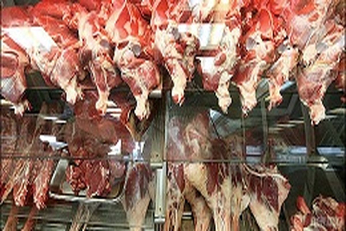 باید ورود مواد غذایی کنترل شود/نظارت بر گوشت‌های وارداتی بیشتر می‌شود