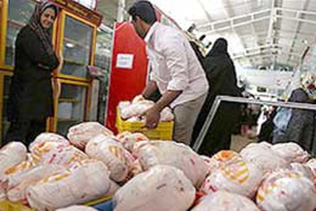۸۰۰ تن مرغ منجمد در سردخانه های قم ذخیره شده است