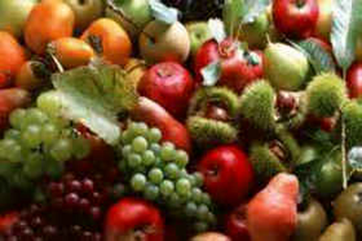 قیمت میوه‌های نوبرانه کاهش یافت