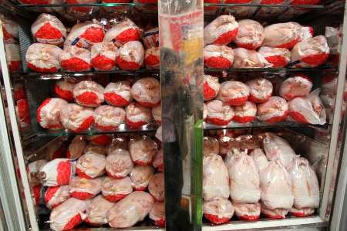 عرضه مرغ با وزن بیش از ۲ کیلوگرم در کرمان ممنوع می شود