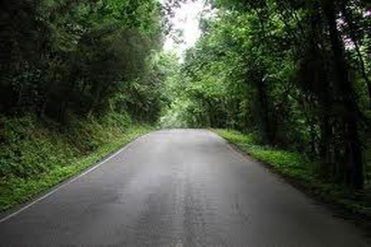 اجازه تجاوز به حریم راه ها را به متجاوزان نمی دهیم