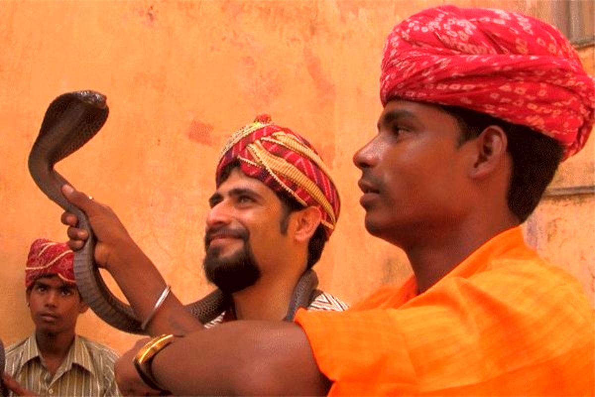 هفتاد و سومین جلسه «سینما روایت» به هند سفر می‌کند