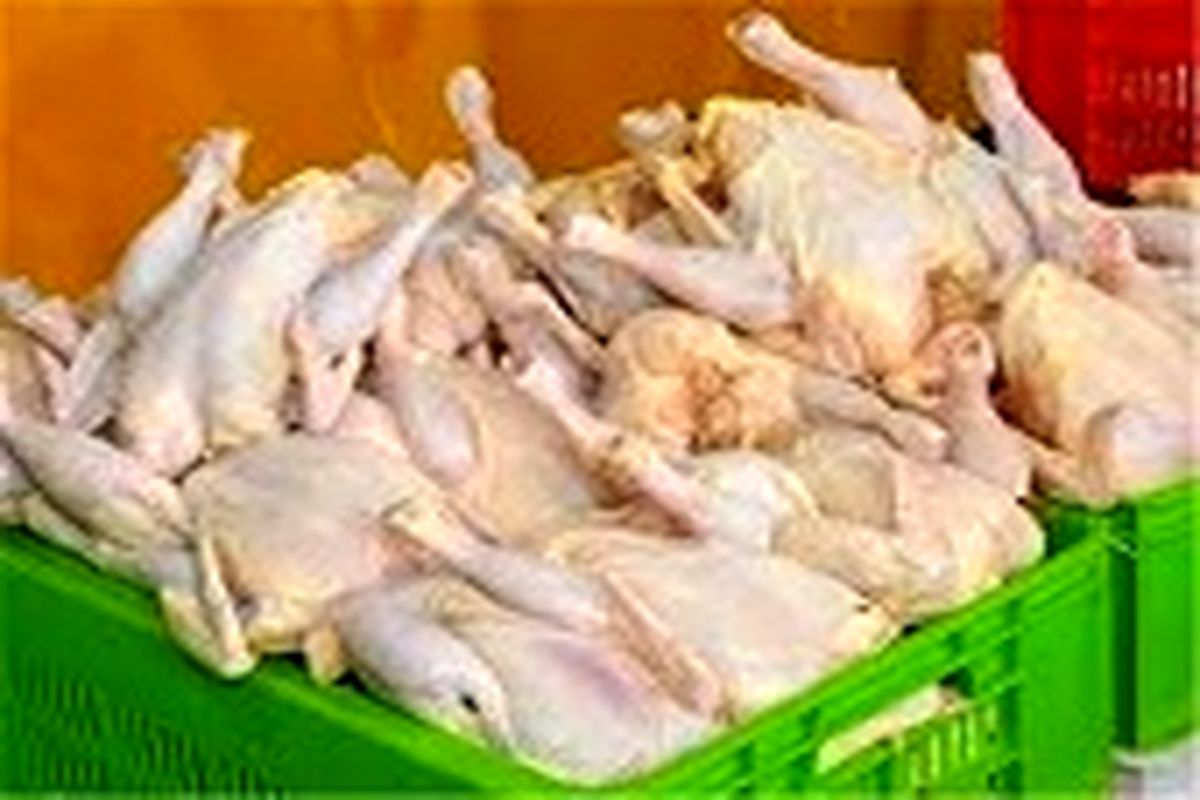 صادرات گوشت مرغ از خراسان رضوی ۱۰۵ درصد افزایش یافت
