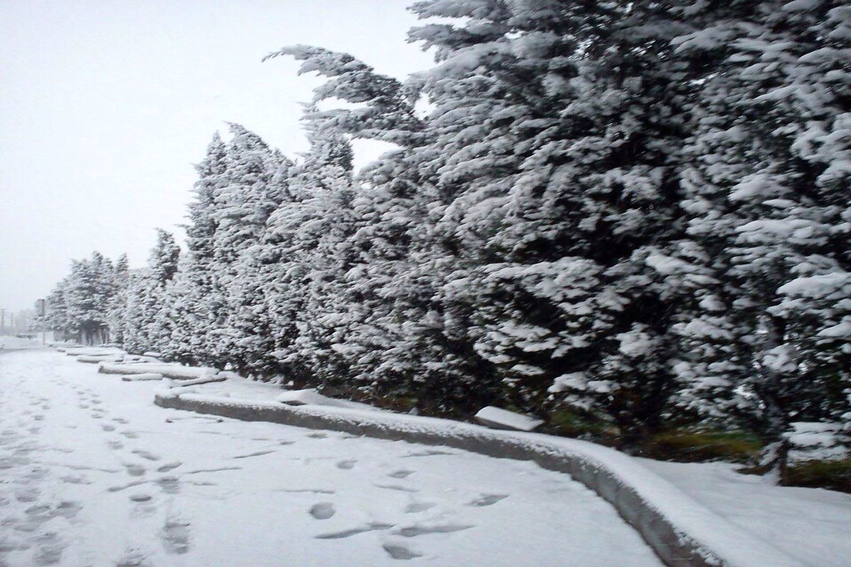 بارش برف در ۷ استان