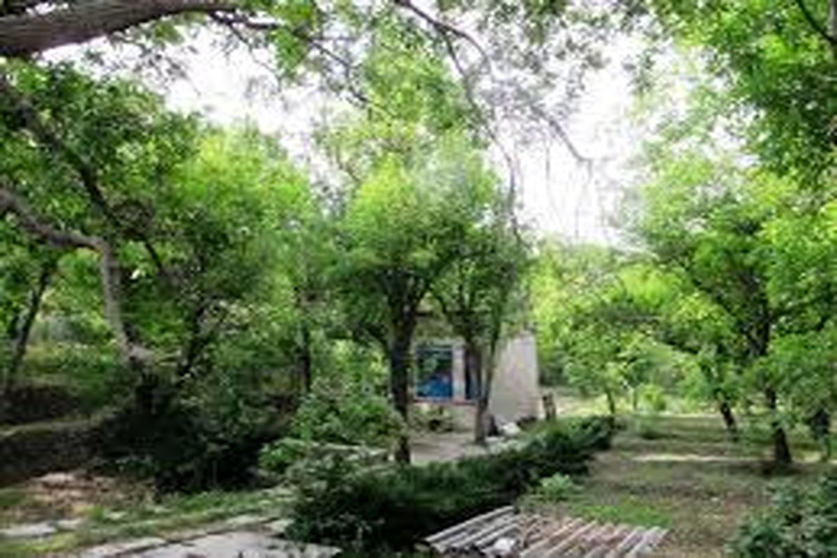 شناسنامه باغات خصوصی تهران به روز می شود