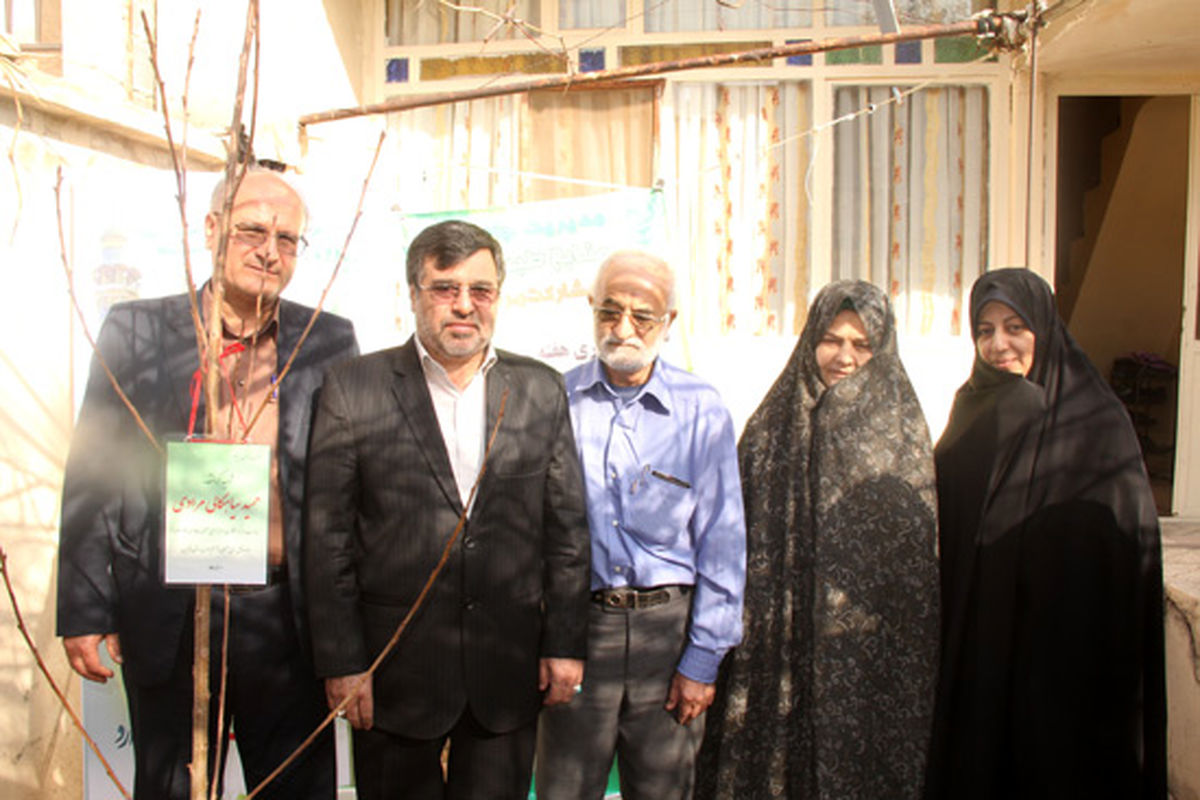 دو اصله نهال به یاد دو شهید مدافع حرم در قزوین غرس شد