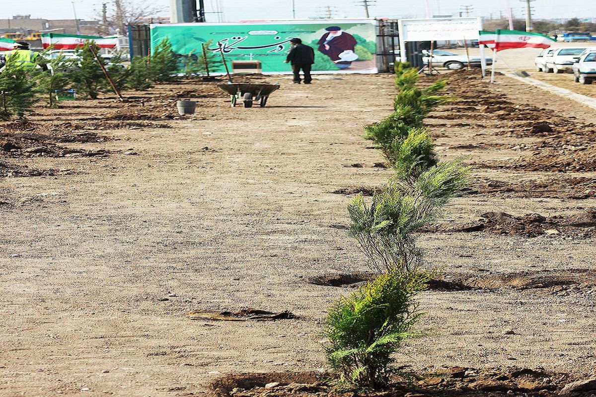 روز درختکاری در مجتمع رشکان در حاشیه پارک ملی دریاچه ارومیه برگزار شد