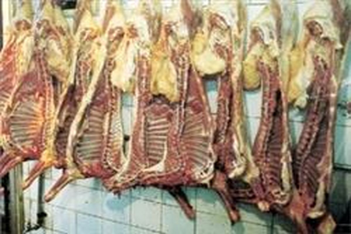 ۵ هزار گوشت فاسد در تویسرکان معدوم شد