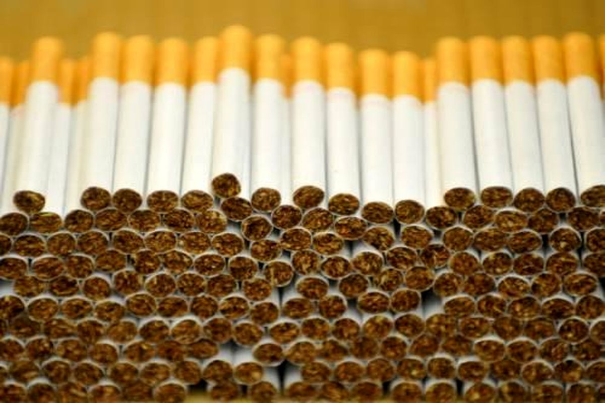 کشف بیش از ۹ هزار نخ سیگار قاچاق در قزوین