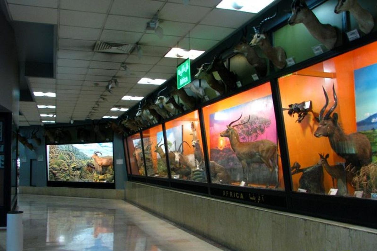 بازدید از موزه تنوع زیستی پردیسان یک هفته رایگان است