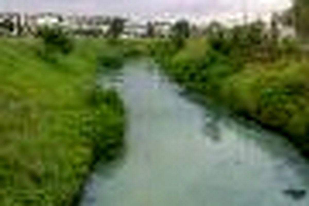 پاکسازی حاشیه رودخانه ارس به مناسبت هفته محیط زیست