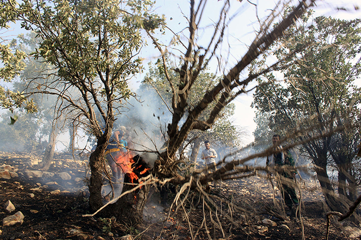آتش سوزی مراتع دالاهو مهار شد/ ۴۰۰ هکتار مرتع و جنگل سوخت