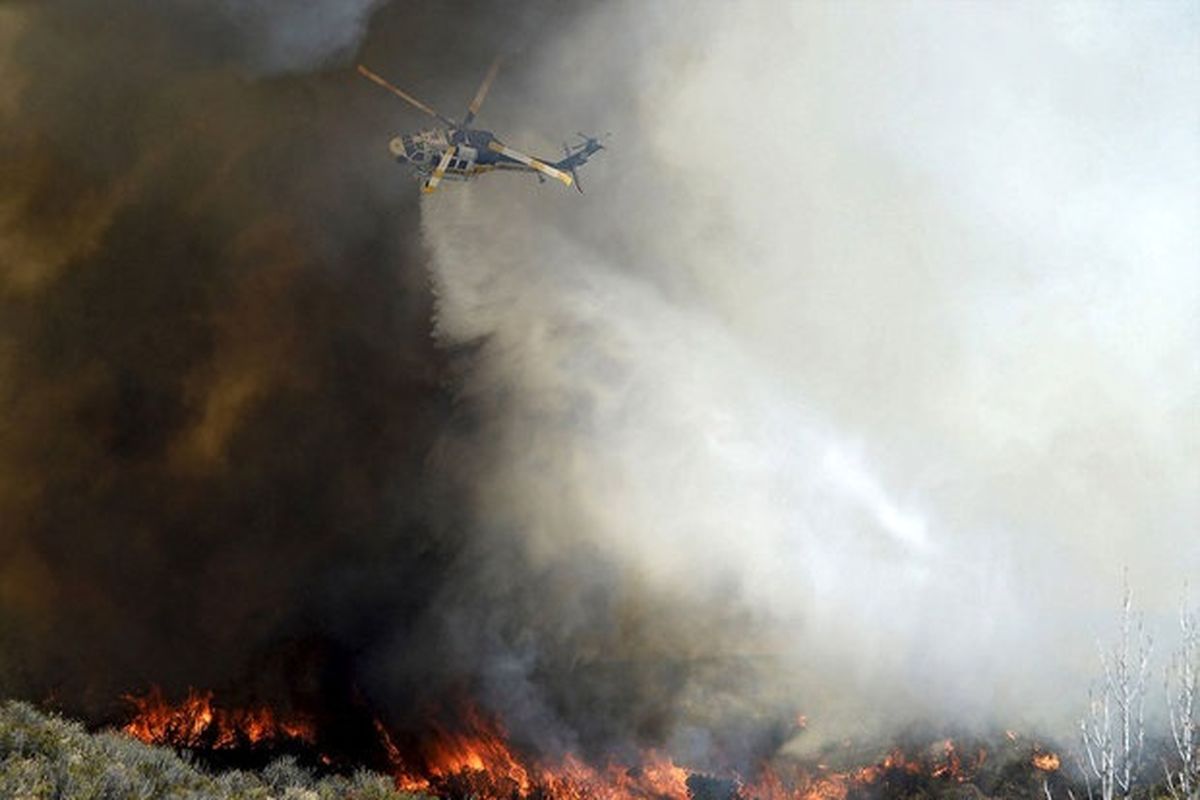پارک ملی بمو در آتش سوخت