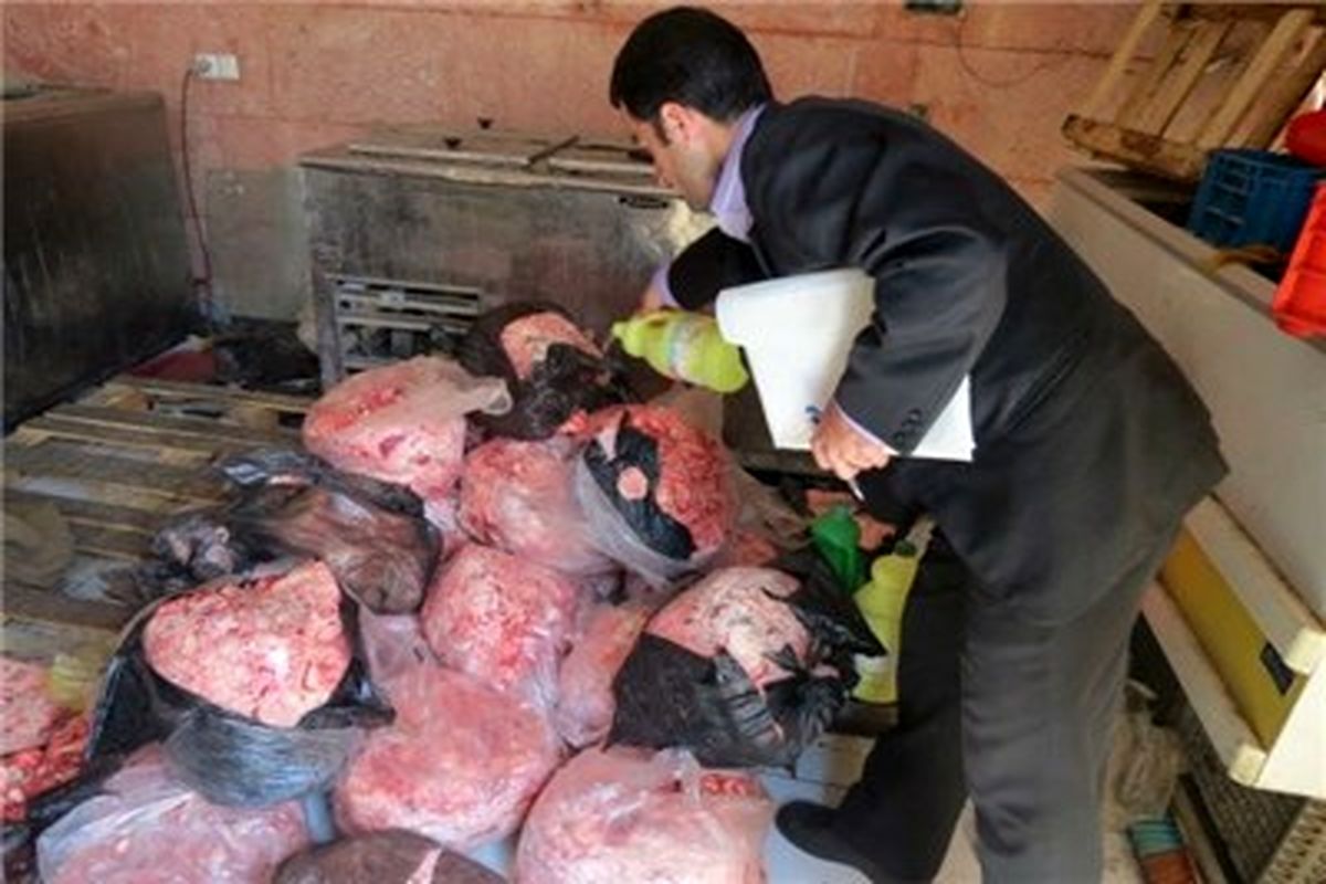 ۴۲۰کیلوگرم مرغ و گوشت فاسد در قزوین کشف و ضبط شد