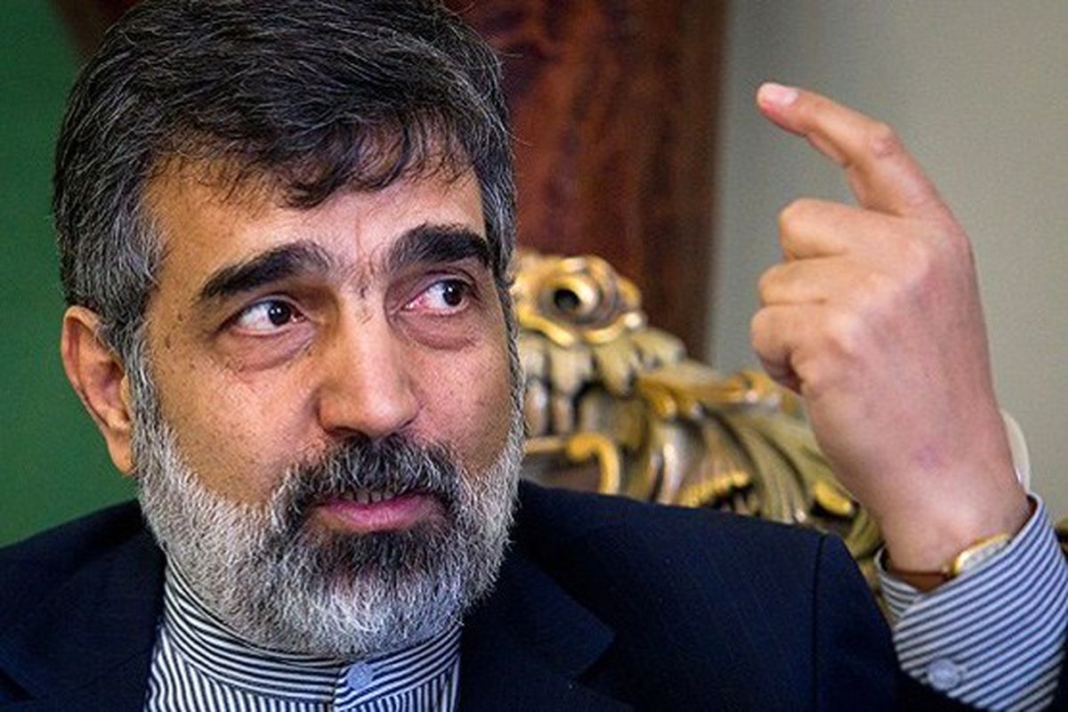 آمانو هیچ اطلاعاتی از سند محرمانه به کنگره آمریکا نداده است