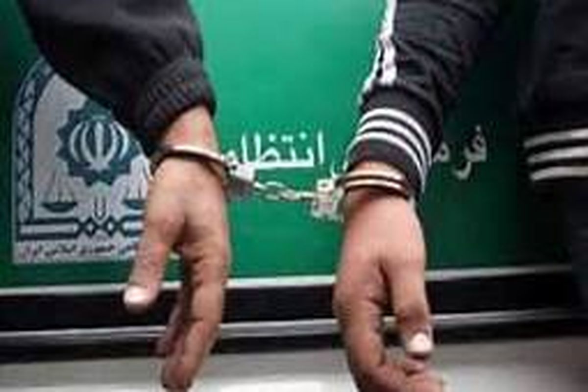 ۱۵۳ مخل نظم و امنیت عمومی در تهران دستگیر شدند