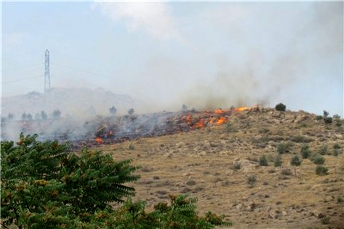 آتش در ارتفاعات "شاه بیشه" آبدانان شعله‌ور شد