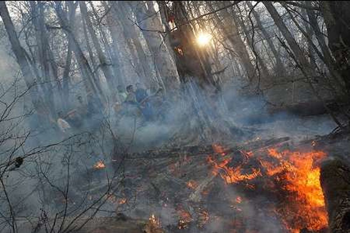 ۲۱۰ میلیارد ریال برای مقابله با آتش سوزی در سطح جنگل‌ها و مراتع اختصاص یافت