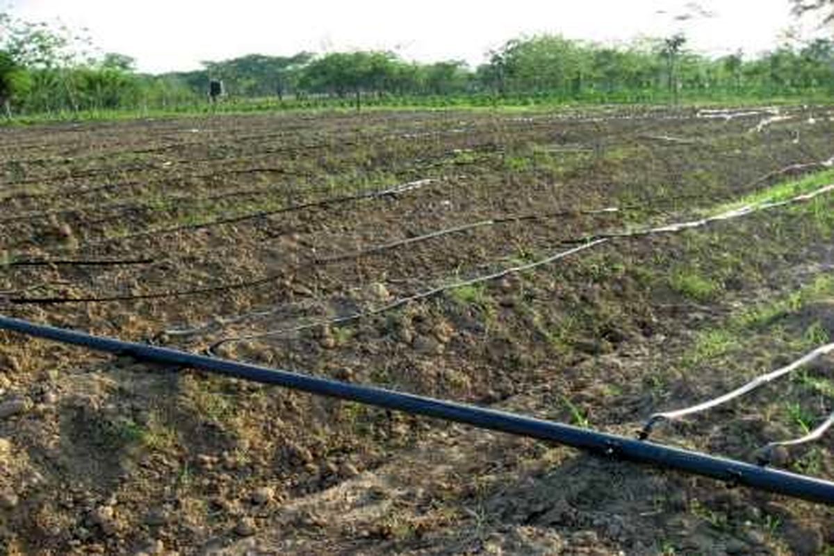 مجهز شدن ۳ هزار هکتار از اراضی کشاورزی هرمزگان به سیستم آبیاری نوین