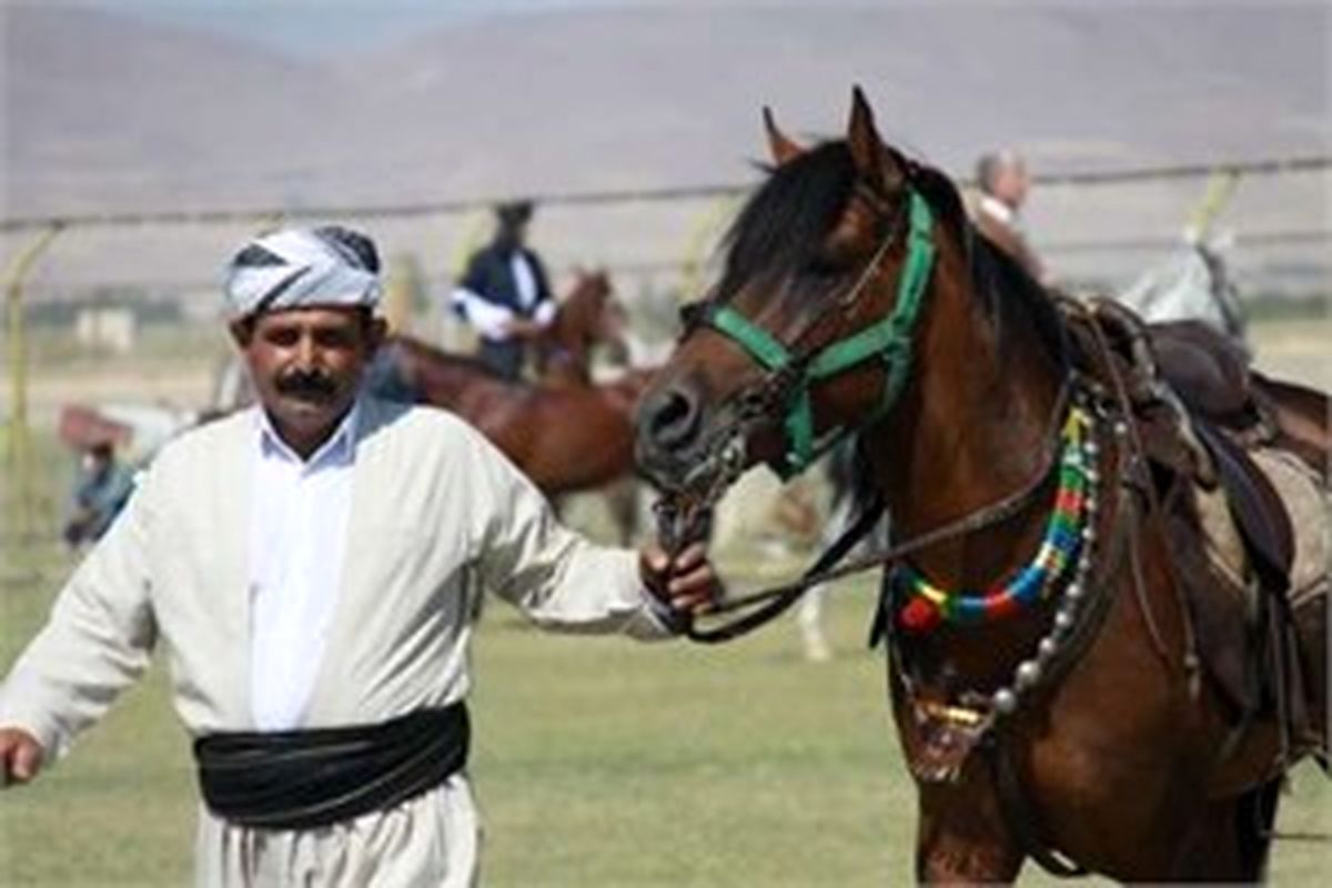 برگزاری چهارمین جشنواره اسب اصیل ایرانی نژاد کردی، گرامیداشت هفته دفاع مقدس در مهاباد