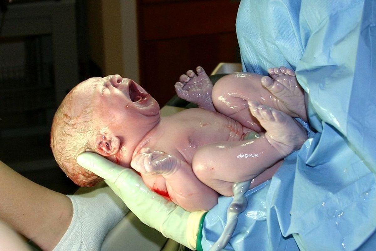 تولد نوزاد در آمبولاس فوریتهای پزشکی بندرعباس