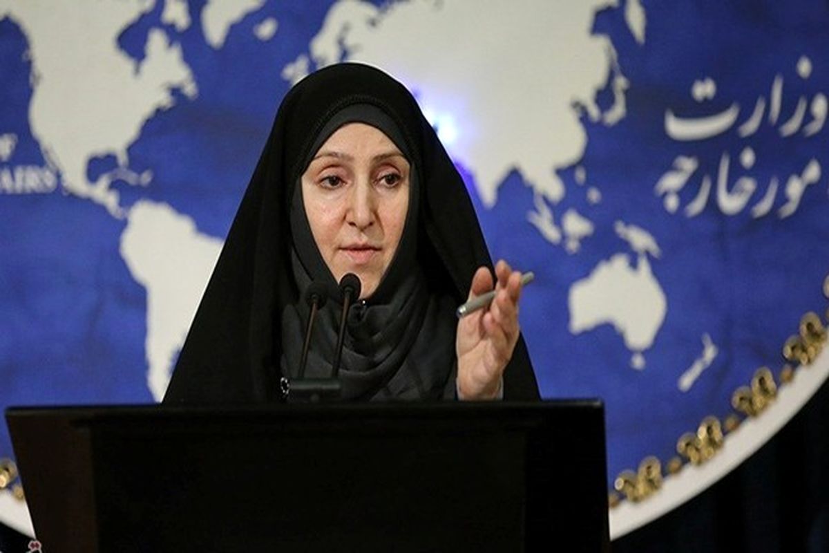 افخم دستگیری تبعه ایران توسط آمریکا را غیرقابل قبول دانست