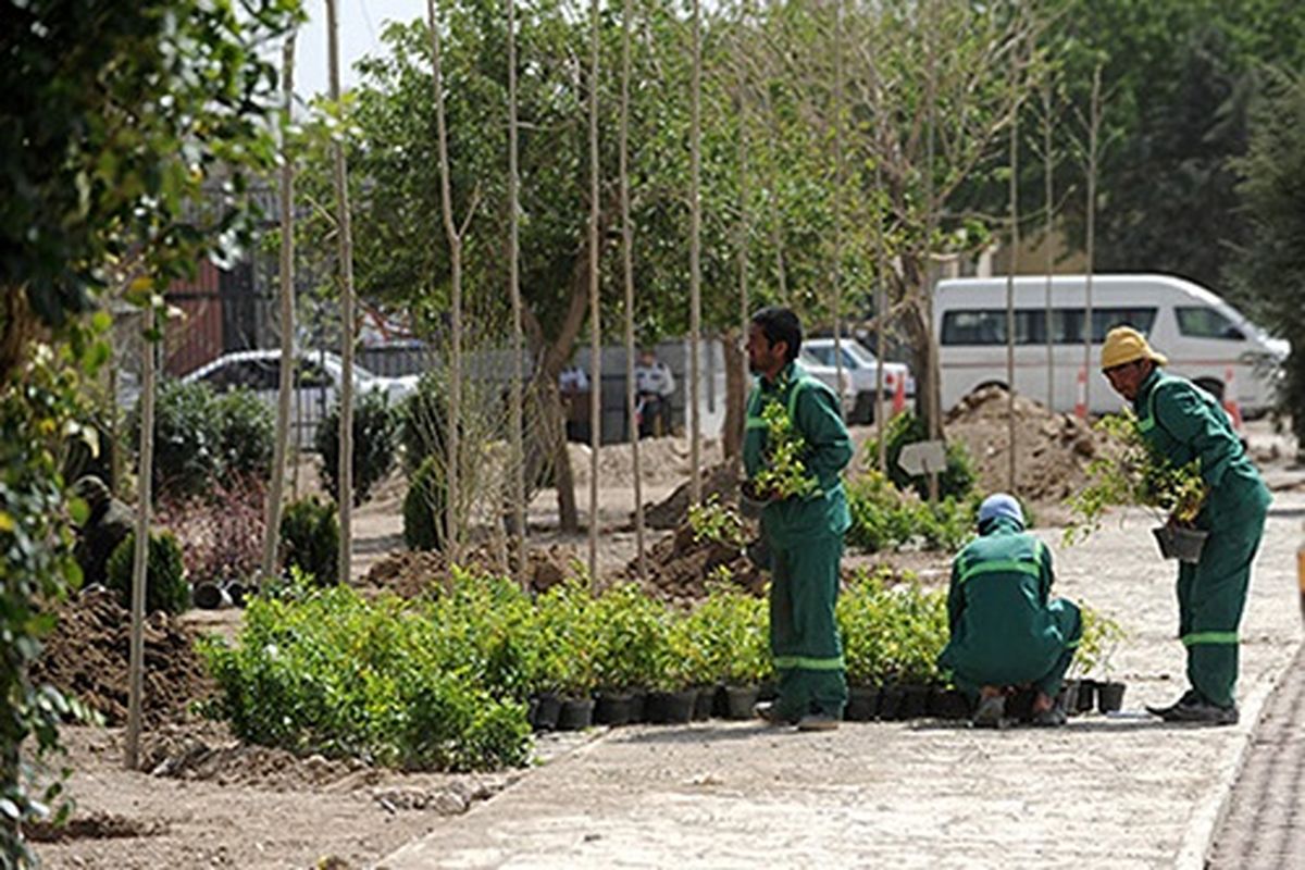 نگه‌داری ۵۰ درصد از فضاهای سبز شهر کرمان به شرکت‌های خصوصی واگذار می‌شود
