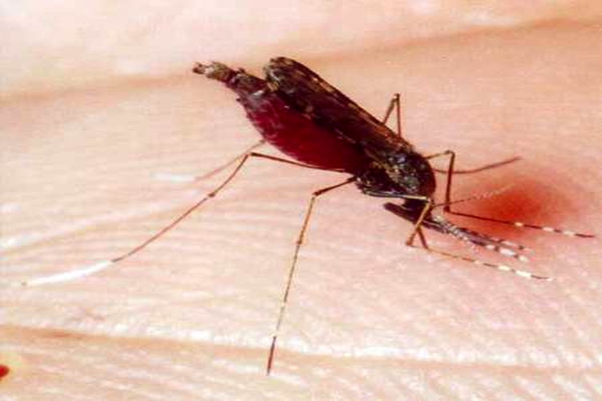 ۲۸ درصد کاهش بروز مالاریا در استان هرمزگان نسبت به سال گذشته