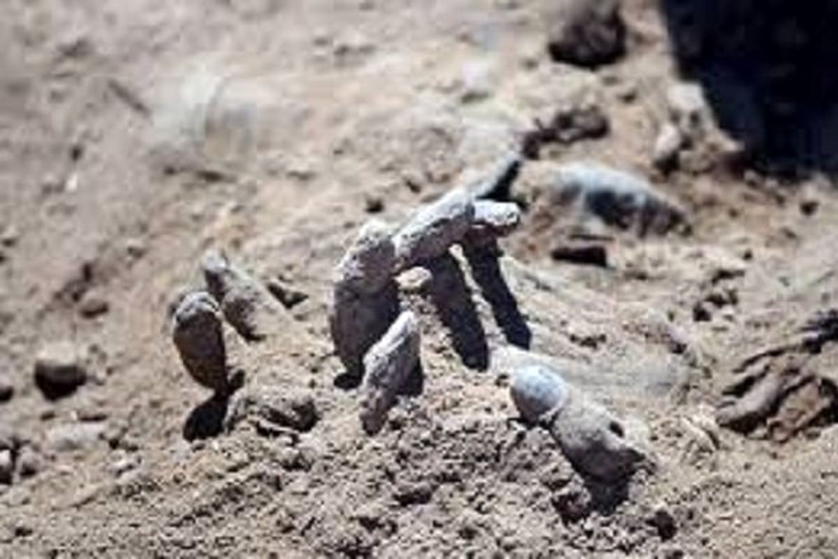 یک گور دست جمعی در تدمر کشف شد