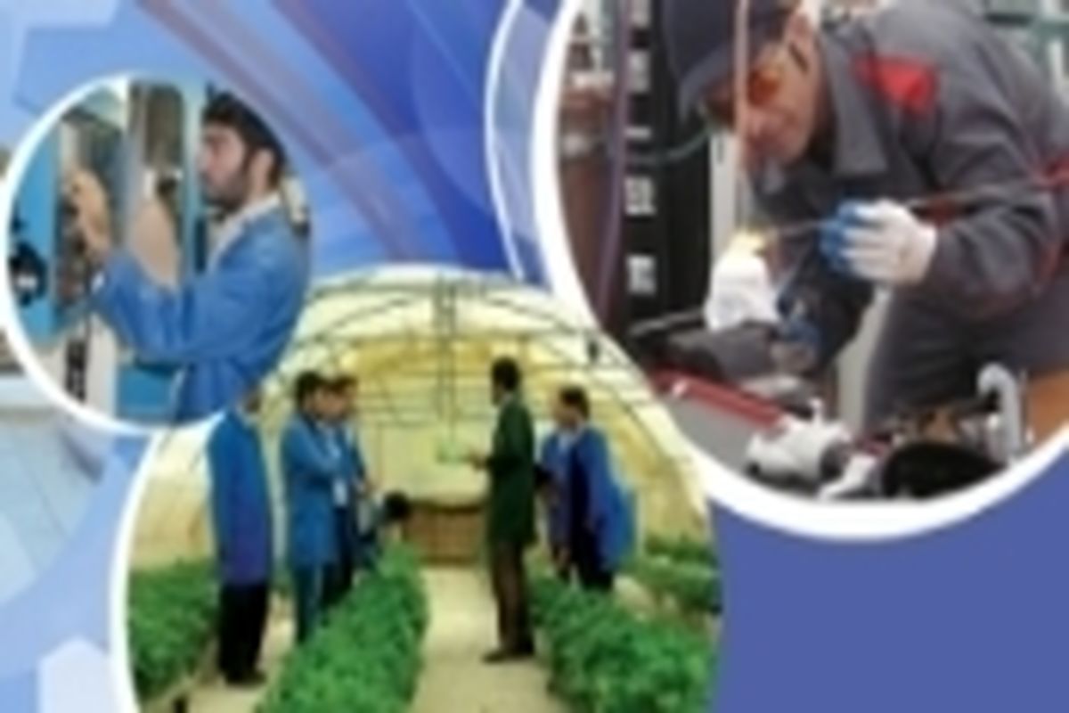 فعالیت ۲۵ آموزشگاه فنی و حرفه ای در ملایر