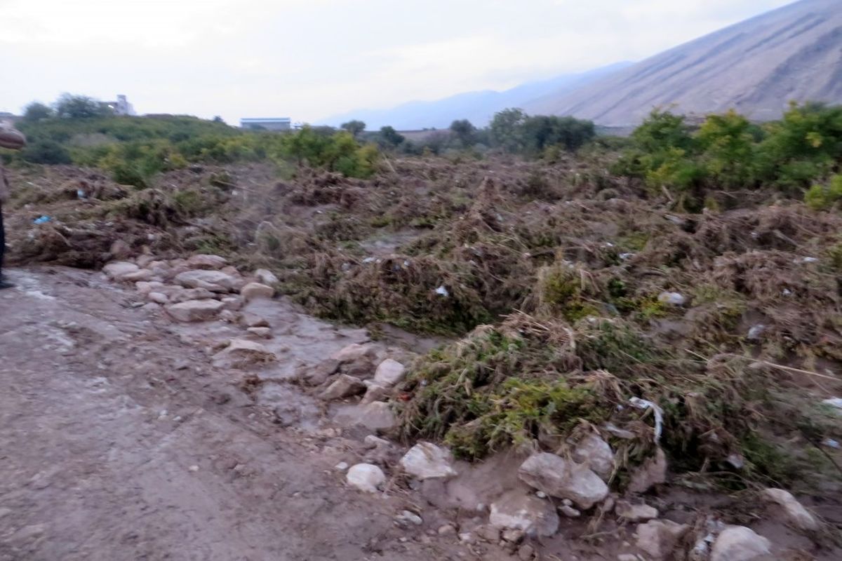 سیلاب انارستان مشهور سیاب کوهدشت را تخریب کرد