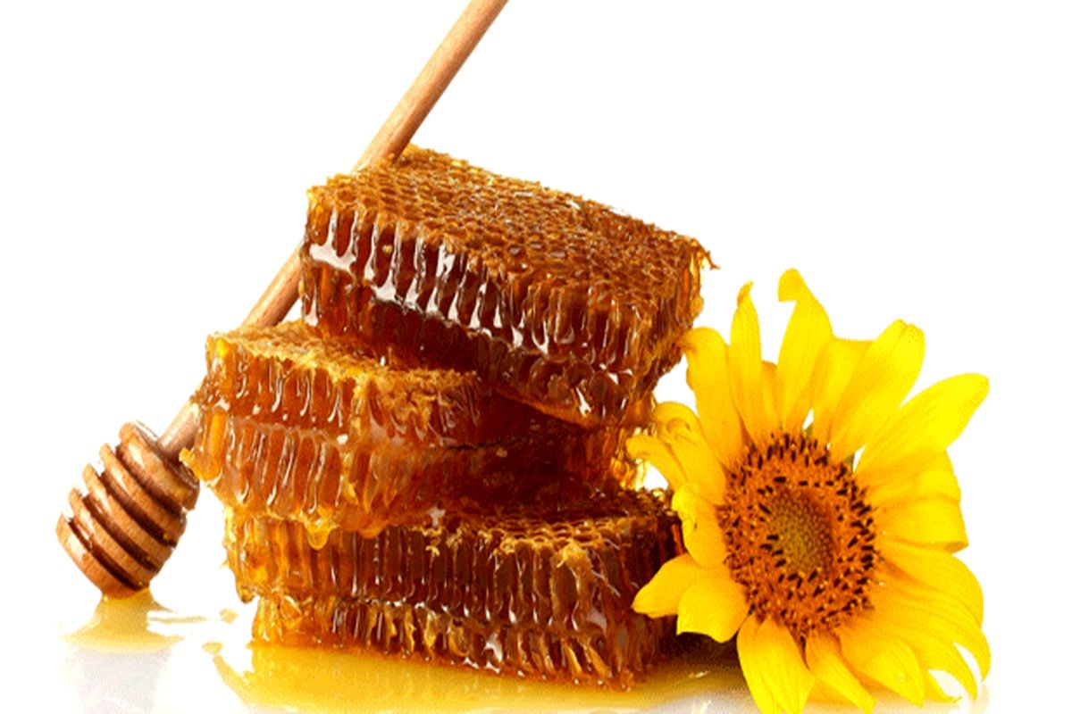 تولید سالانه بیش از ۵۲ تن عسل مرغوب در شهرستان سیروان