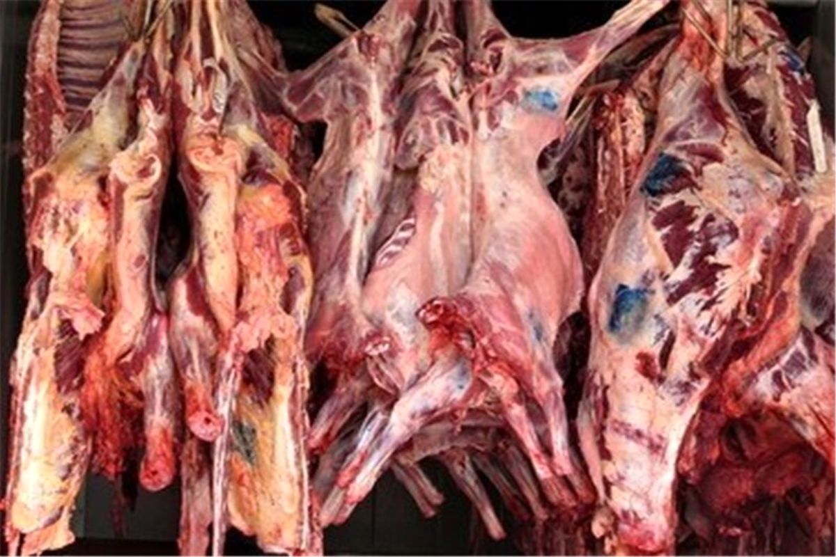 کشف ۷۰۰ کیلوگرم گوشت منجمد فاقد مجوز بهداشتی