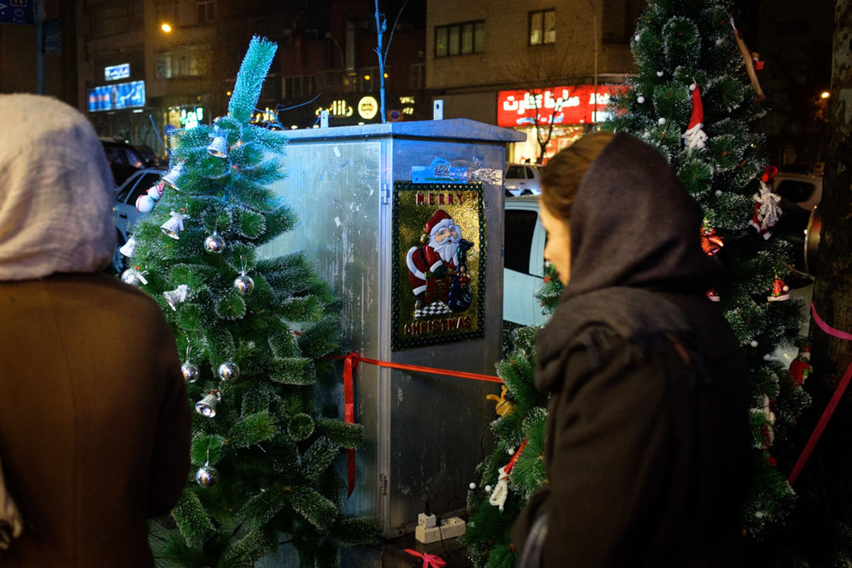 سالانه ۴۰۰۰ درخت کاج برای کریسمس به ایران وارد می شود