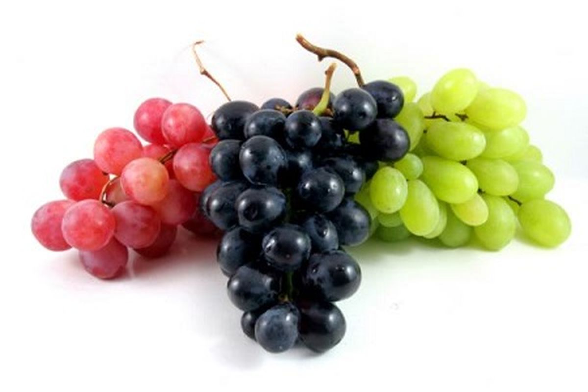 مصرف این میوه از ابتلا به آلزایمر پیشگیری می کند