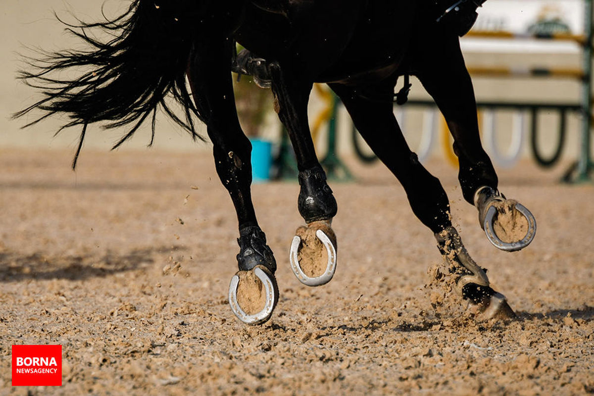 اعلام نتایج مسابقه پرش با اسب جام پدیده سازان