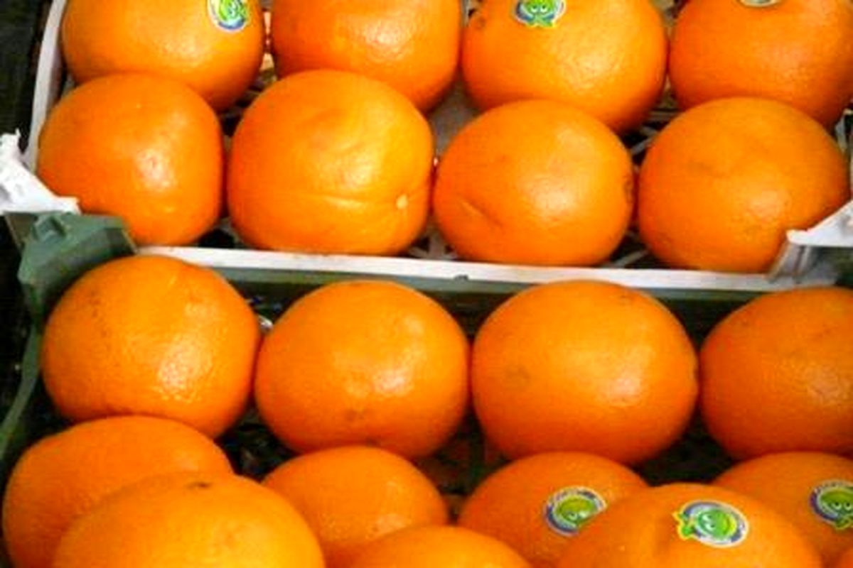 ذخیره‌سازی ۳ هزار تن پرتقال برای شب عید در همدان