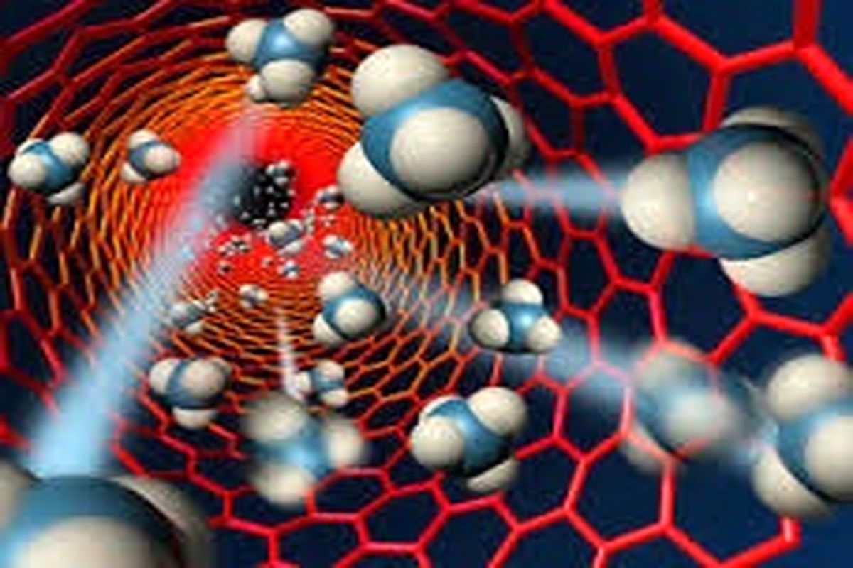 مدیران باید به فعالیت شرکت‌های دانش بنیان اعتماد کنند.